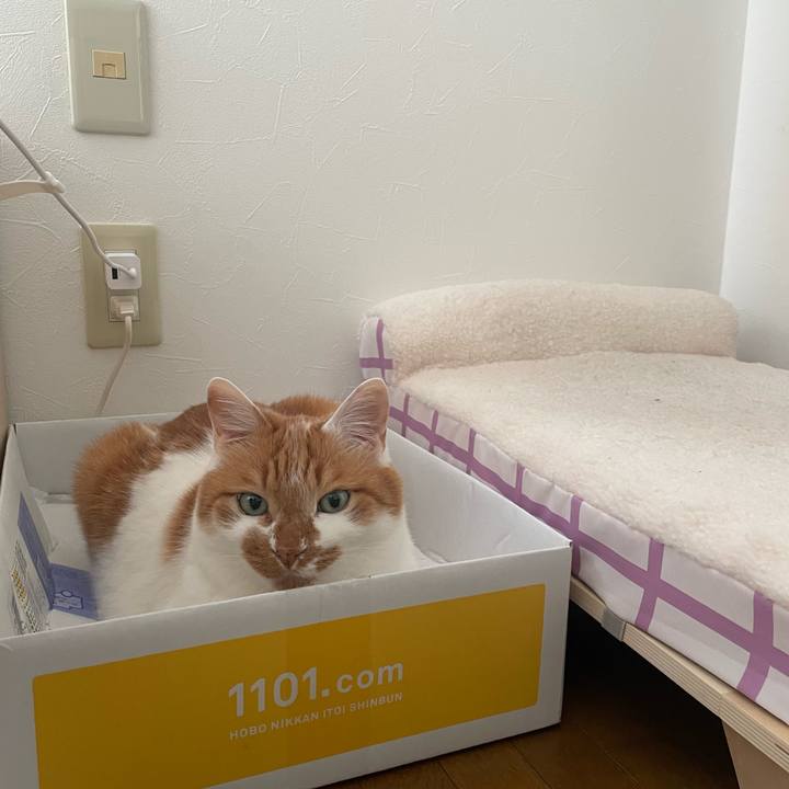 516669de 8404 4765 9c76 a30b952f5389 1748470485533