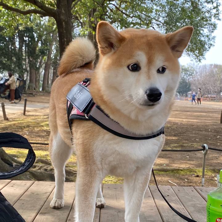 51666d65 6293 43c9 8b21 597e0a599fc4 1647172972964