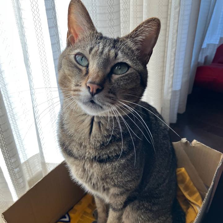 5166856b 5090 4daa 9856 ec0ab72a5792 1766963596241