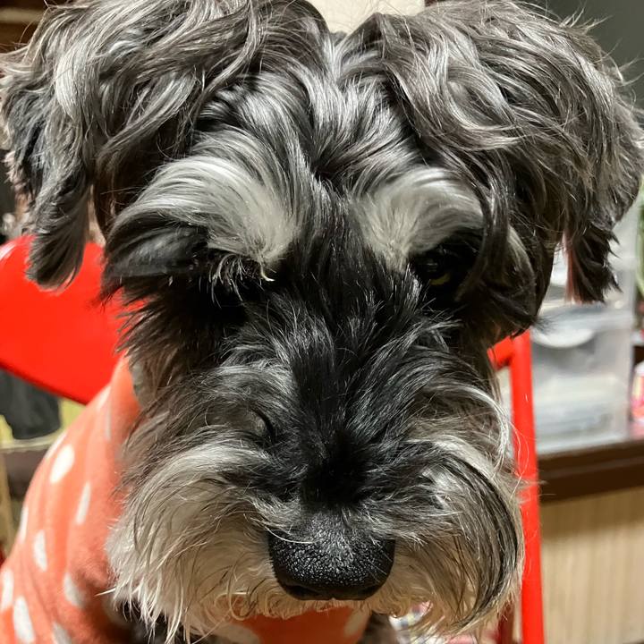 5166a1a7 d423 431f 95ff 6876b7e37f5b 1741775319501