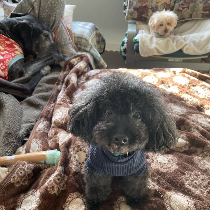 5166d308 94cd 473a 85dc 2f99f1d7baa0 1646605965332