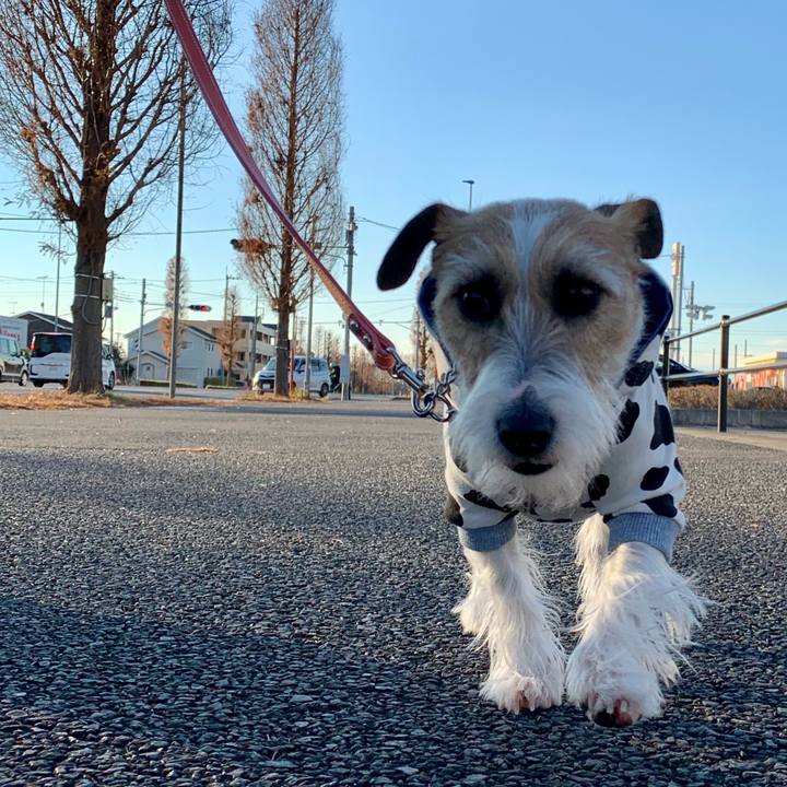 5166e409 9467 40b9 8b86 40ca02b18f7a 1609587877333