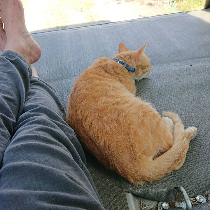 5166ef6b 6277 45ab 82f8 bdb643264d54 1559372316626