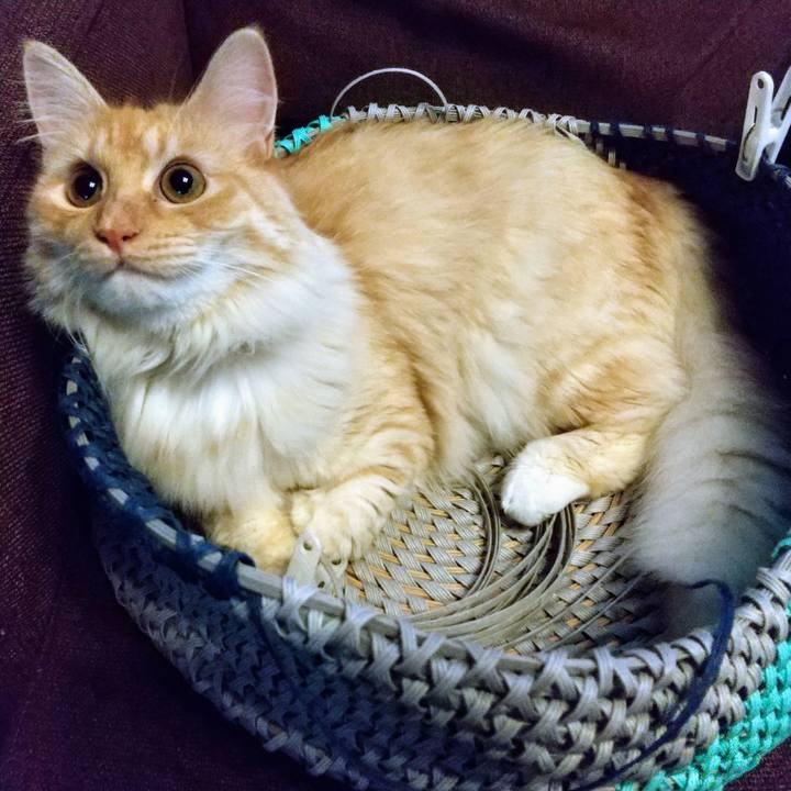 5166f9b0 4bf3 4596 88bd f704910de78f 1624917416822