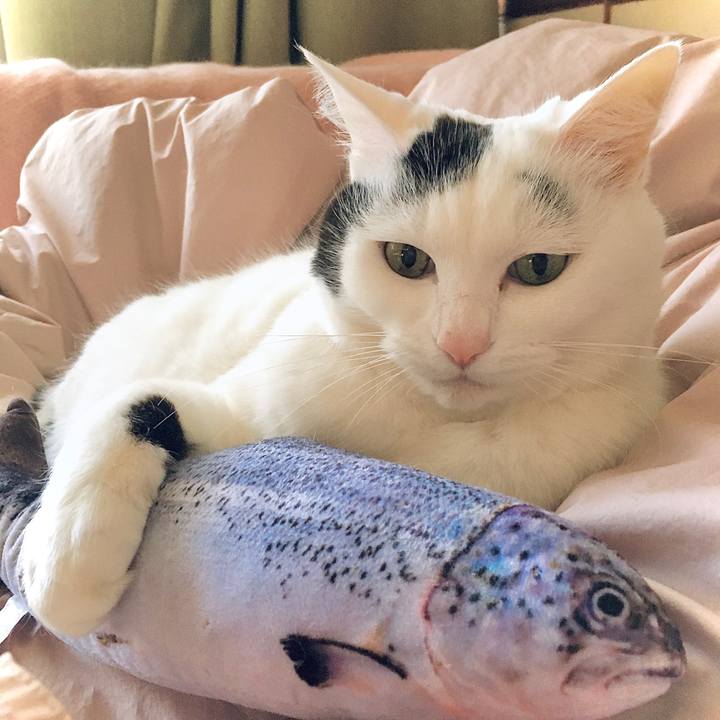 5167779d e597 4df9 a348 fb9eb193fbbb 1607072085971