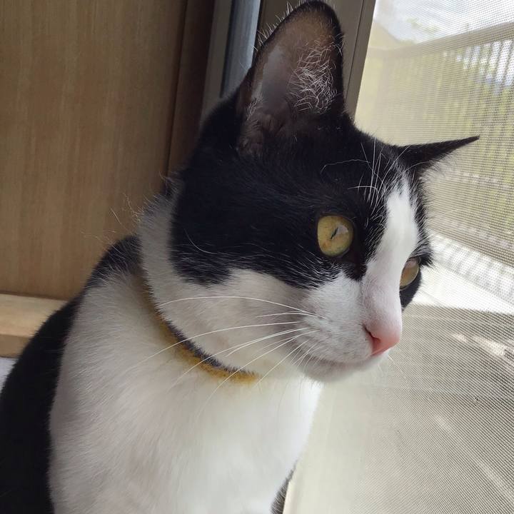 516794a4 3082 4eb2 8ee9 16893d59d5aa 1651451932740