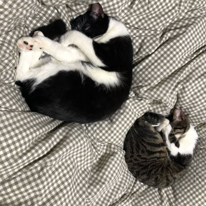 5167b463 6a8b 4991 b8c5 a0e4d7bf815a 1542451649596