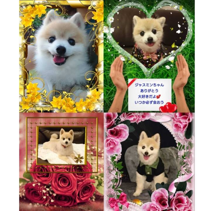 5167d22a fa6b 4a2e 9e2b 1cce33ec2dd3 1554608008826