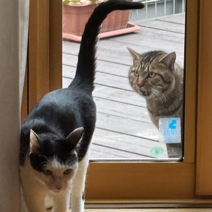 5167dc54 f70b 4658 9f6b 9e0e2787a007 1768876510834