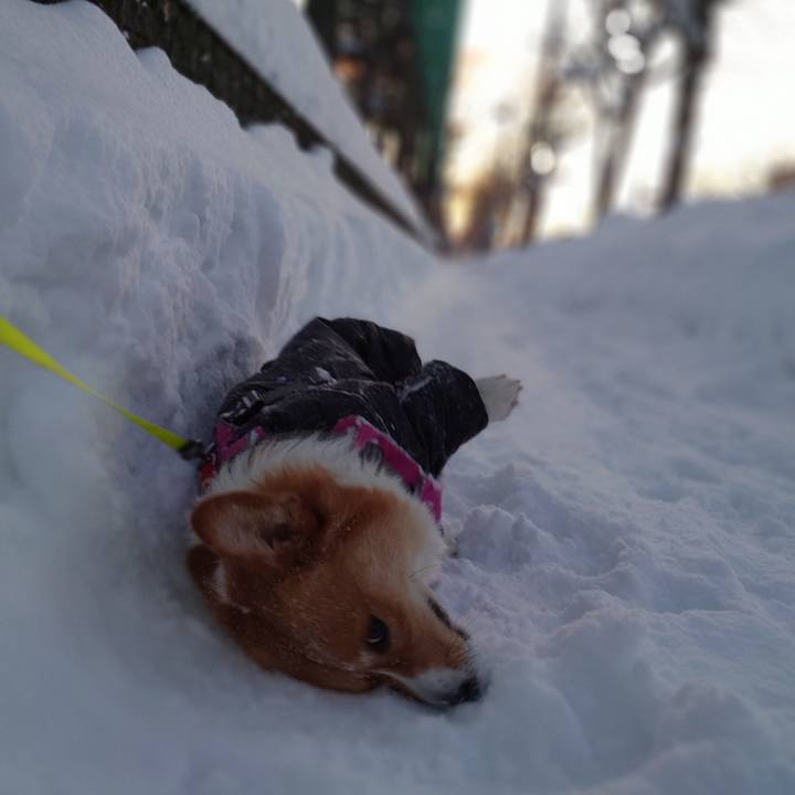 51680731 30ac 4eb7 bc87 d0a55b6e13ad 1767916457665