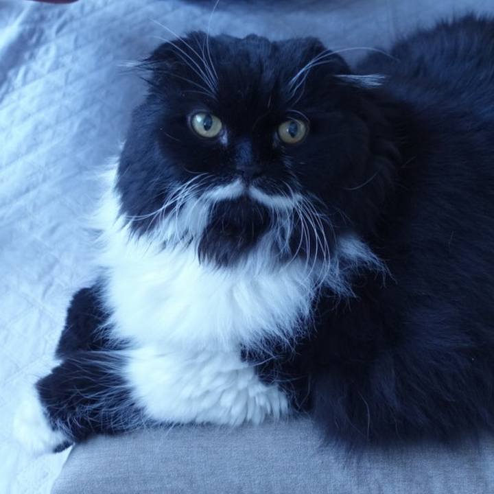 51683762 f195 4def b7ce 6f0d5e72f3e9 1517103866612