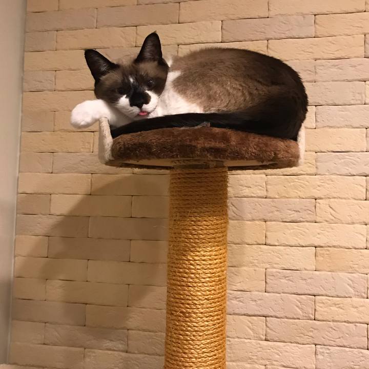 51683a61 51b5 4565 899e 51d99cadbdfd 1568632860439