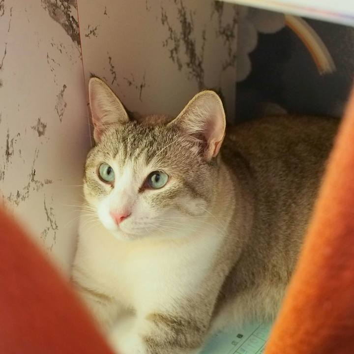 51686657 282a 4d58 bb27 af50978c205b 1531703484921