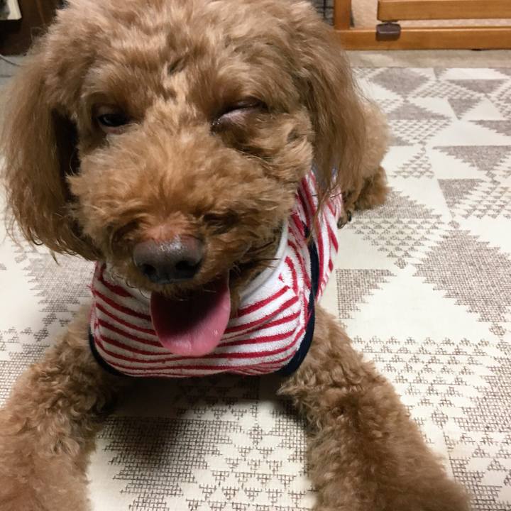 5168ff67 7e1b 46c1 8560 77555429f4e4 1534333101475