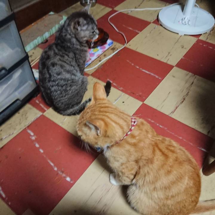 5168ff8a f57a 424d a697 df7863ab47fd 1561146593825