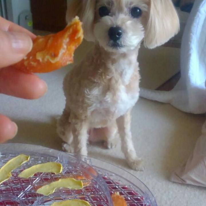 51691492 6a79 4eb8 8b2a 40b35da2b536 1556491475462