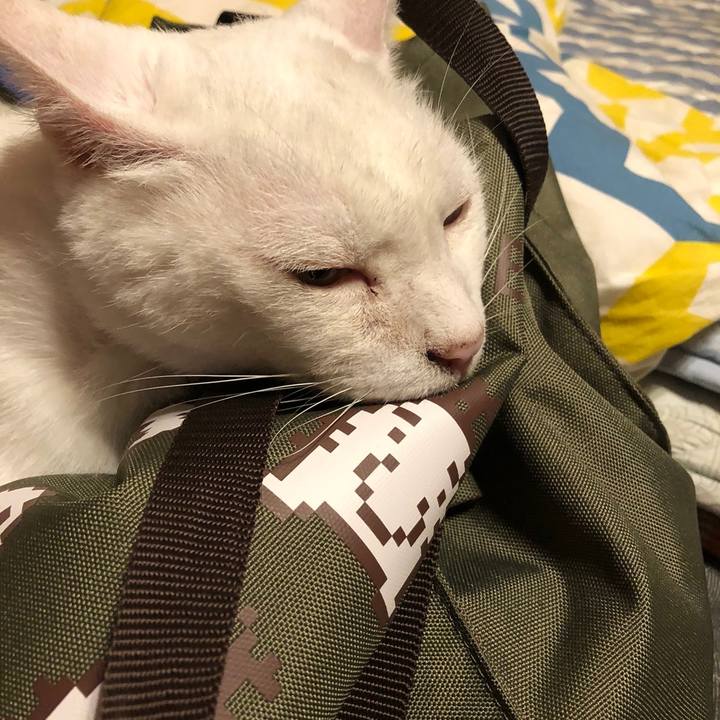 51692545 0b9f 46f3 97d2 81cb8037d6ff 1656883578343