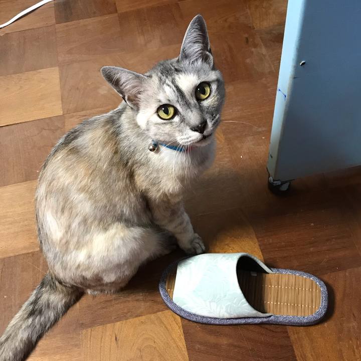 51693f94 222d 4db3 8d79 3fa92cdf82e2 1597413782154