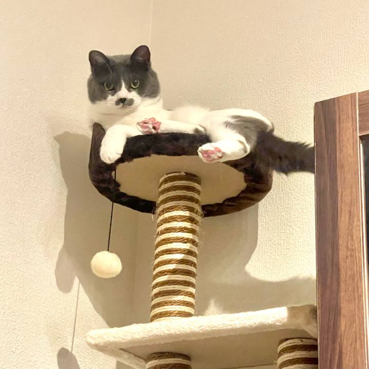 51694521 1768 496e 9727 d9aa1d1f10b5 1685884851624