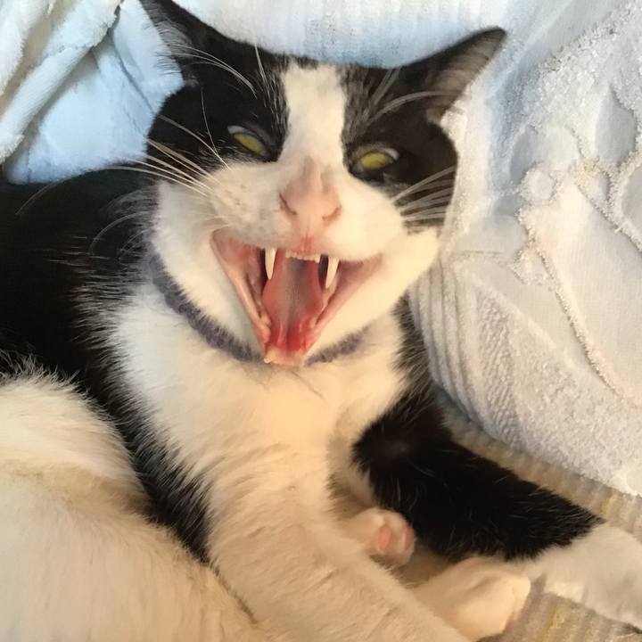 51696969 4ff3 45ad b0de a2bc85965a2e 1667560544744