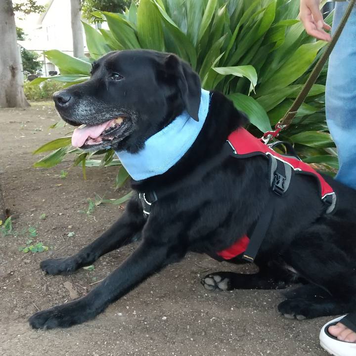 516983e7 f178 4d80 8fd8 4f815519bd1e 1691835766059