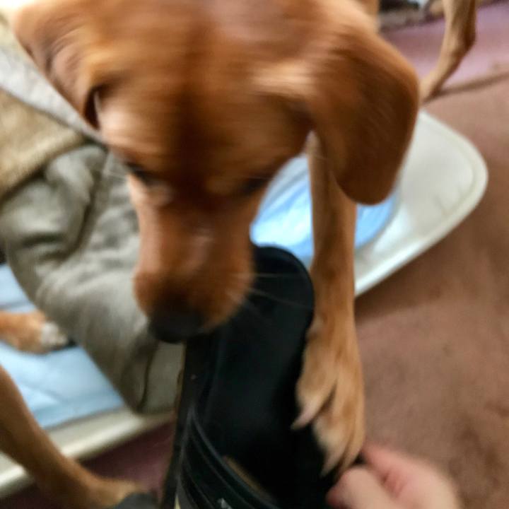 5169ea35 aa9d 4413 a2df 06068477d0a6 1538351976657