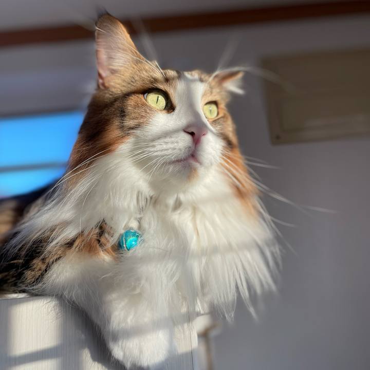 5169fe12 ac7a 4ce2 b239 6961e7014fb0 1716108281773