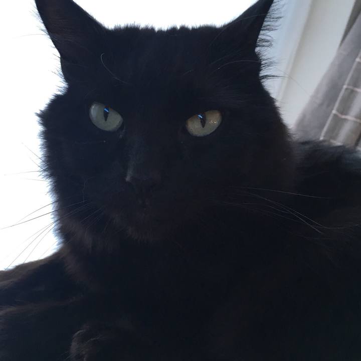 516a2dfa 4d94 4c90 be9e 0c818a20711f 1517914003752