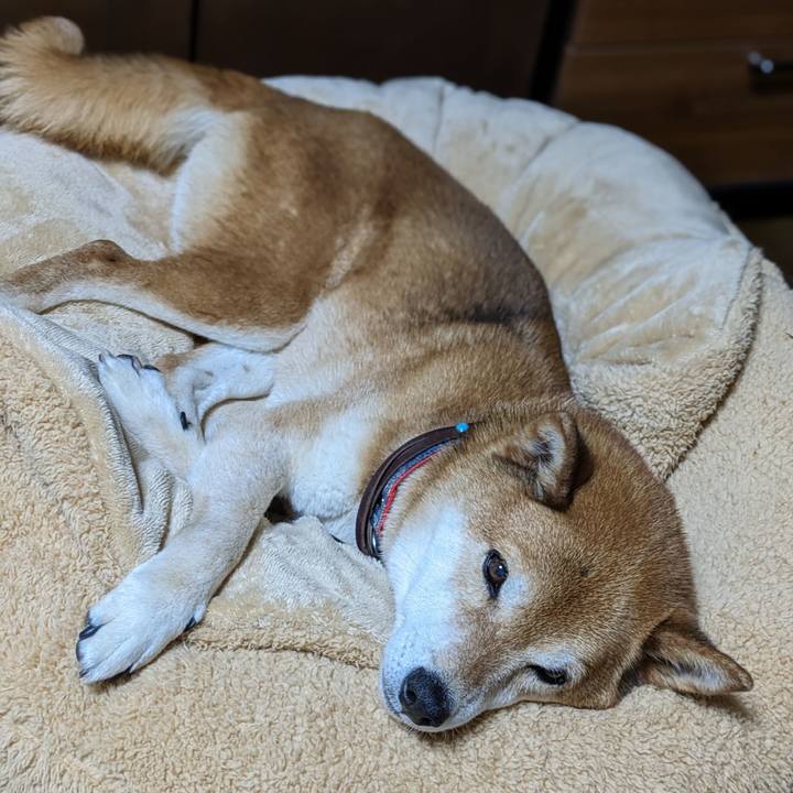 516a3764 93b7 44fa bcf2 da804e98b4d1 1714996487864