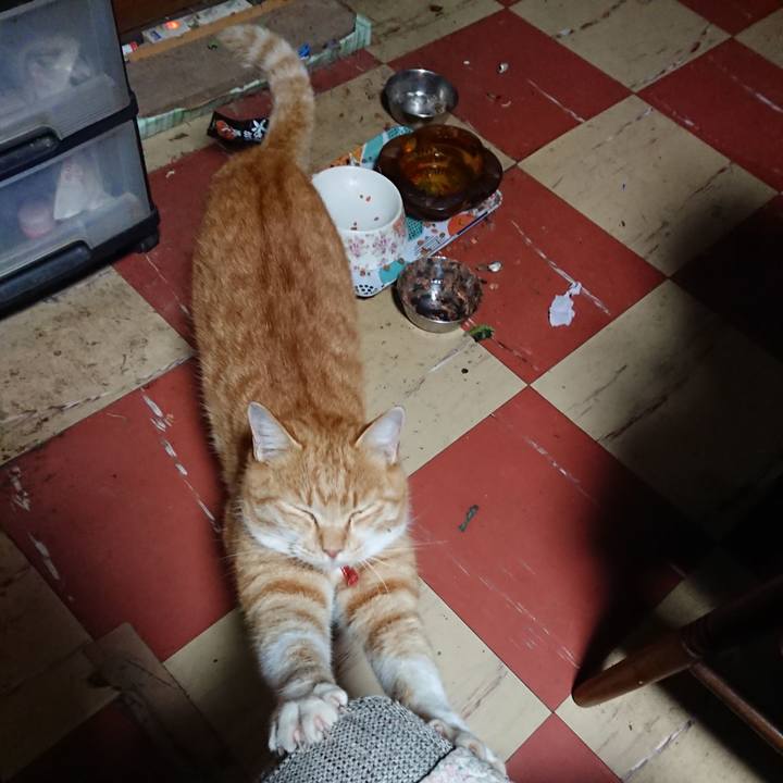 516a4578 0b0f 42b8 a032 31562ce3dfa9 1575233234486