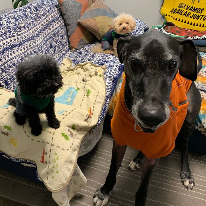 516a6fc7 f454 4489 ade6 f55843059093 1575931052539