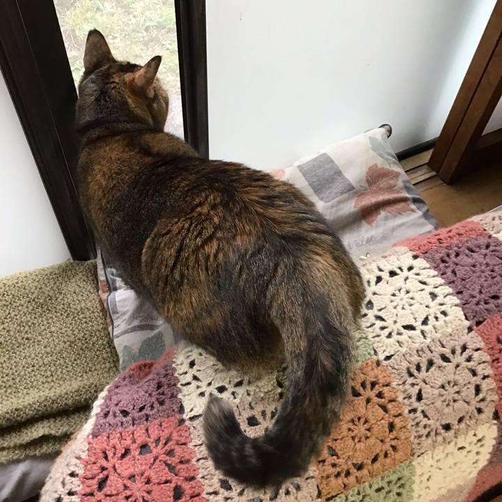 516aa494 f9b4 4410 bd9b e33deee0070b 1634551017421