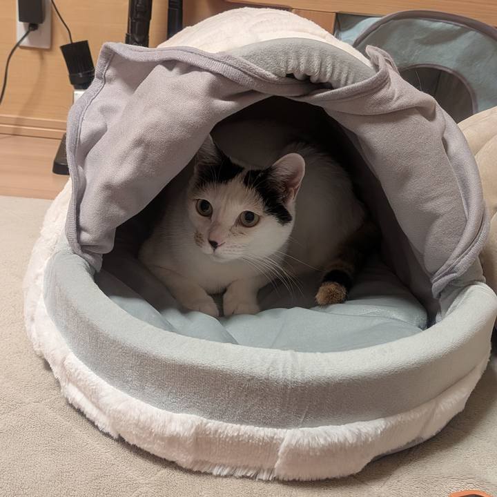 516ab2fb 3eae 43bb 933e 4ed422be15c7 1769265364519