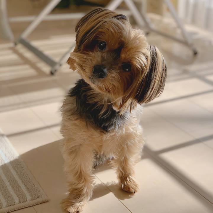 516ad281 41f3 4805 9e18 1f495f641384 1577067041169