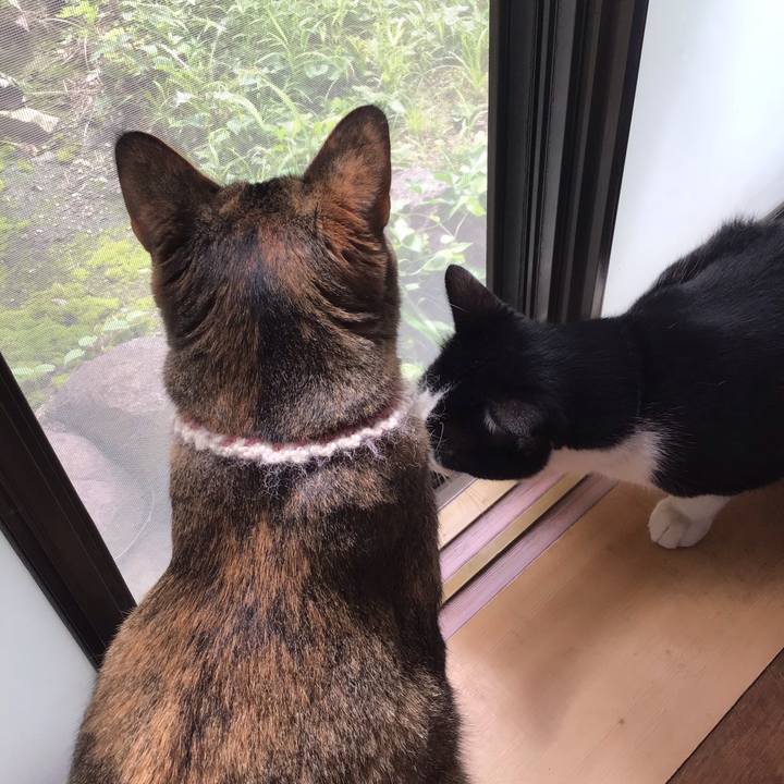 516adf3e c027 40d1 9f44 f2e571b8a782 1658976402764