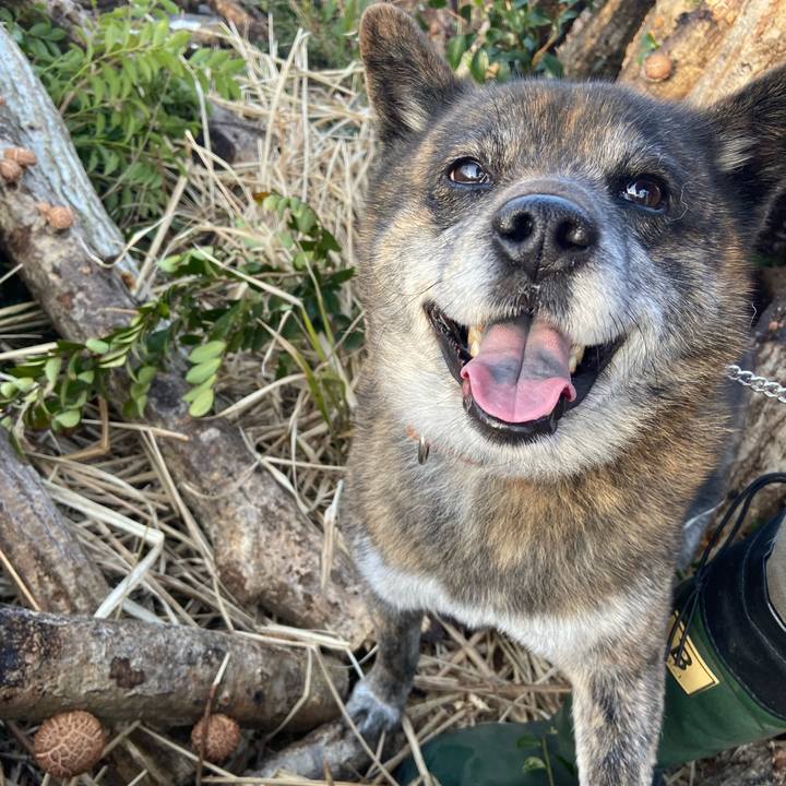 516b4d29 5e3a 4221 8b7a 7b03de166d2b 1616195443446