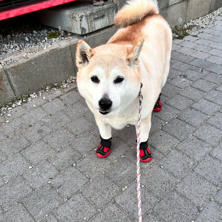 516b7779 2789 4560 a973 1a5dd7aafce3 1738751558649