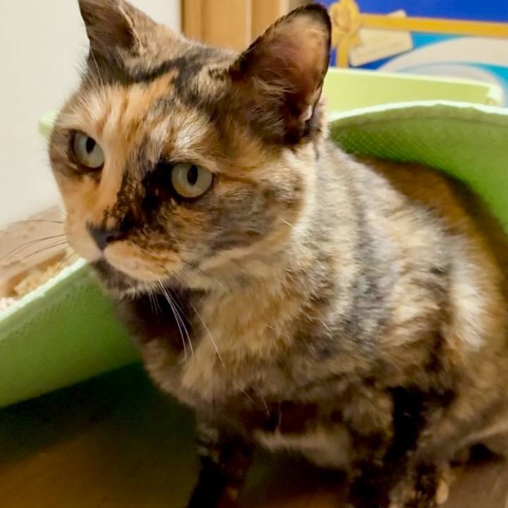 516bae57 2655 4bd9 857c 9f6da6b83c97 1748635146098