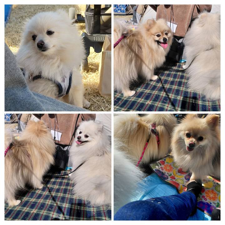 516bc623 7883 4f3d af73 6d695e62c48b 1772422983676