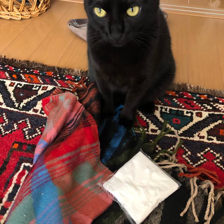 516bd00c d219 4f42 931e e589e516b989 1573606031157