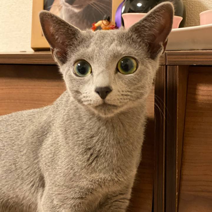 516c0db8 4ea2 4f81 8a77 bc1009c3b230 1605796471493