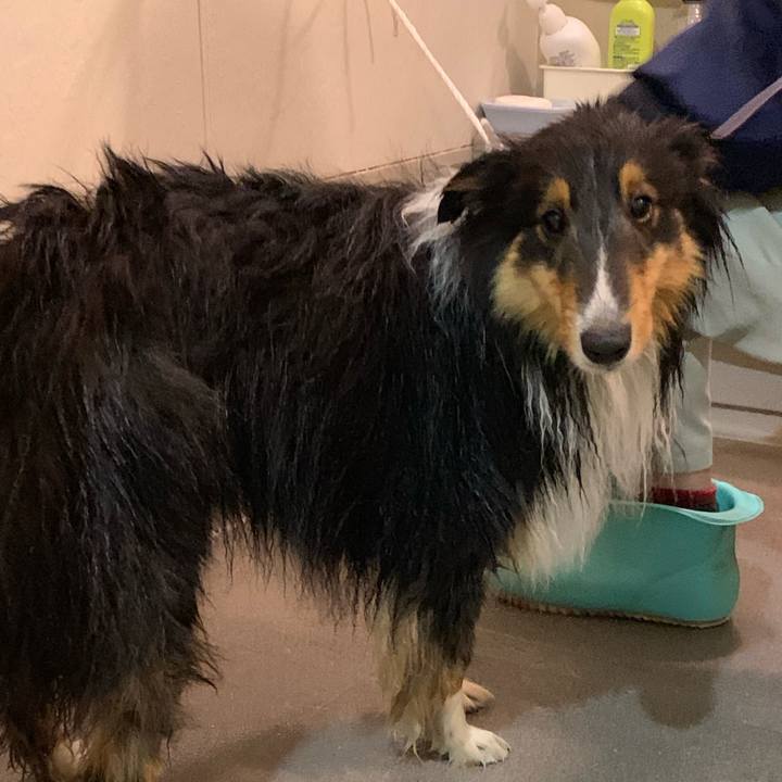 516c1ec8 c7c9 443f 9d8e b69187141301 1556144097098