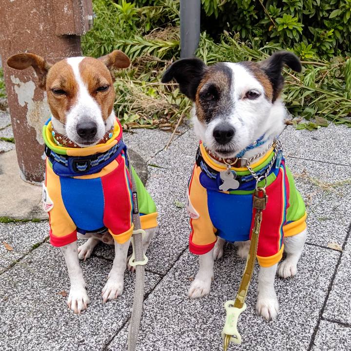 516c2d2e ed94 425c b80f b7e52add16c5 1635288433994