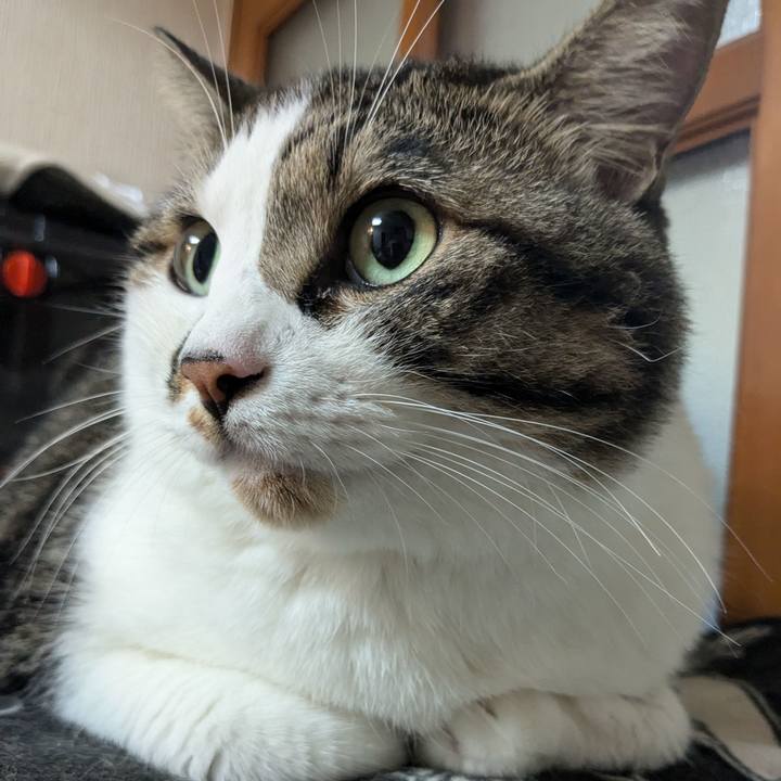 516c5fc7 ec90 453e 9c99 5c03a9128b9b 1726446817531