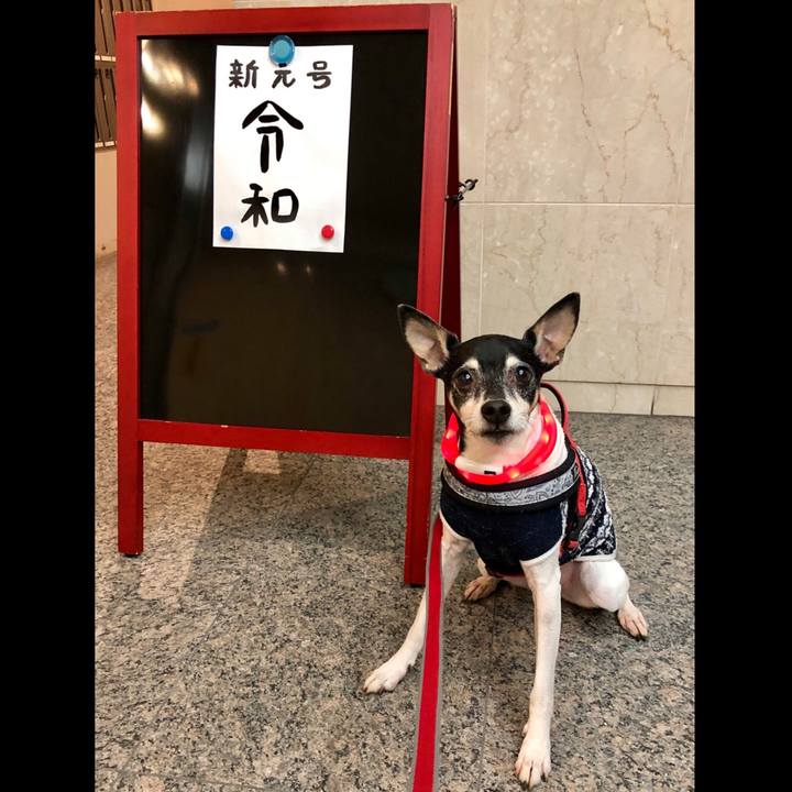 516ccb23 e4dd 42ee a16a 6ee9a487252f 1554115140494