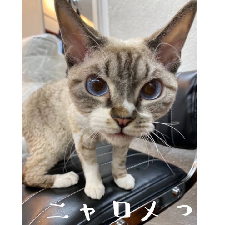 516d0c1d f0c1 4201 baf6 9c9f331a15da 1603967544432