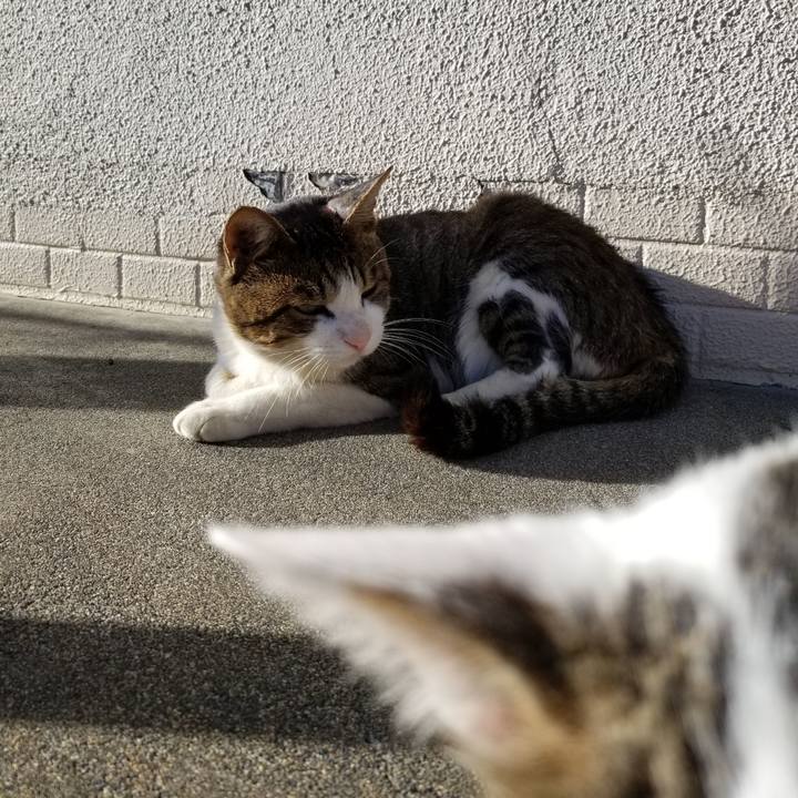 516d34f3 6f98 4301 9ae3 ce5ff2e41e80 1601883988918