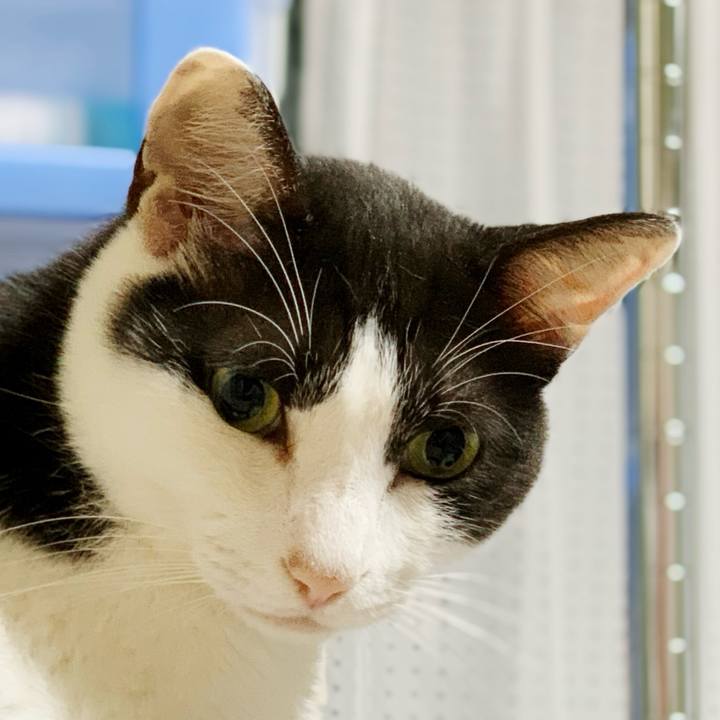 516d41f4 4b85 41bc a5b1 cd5210f8127a 1595643902506