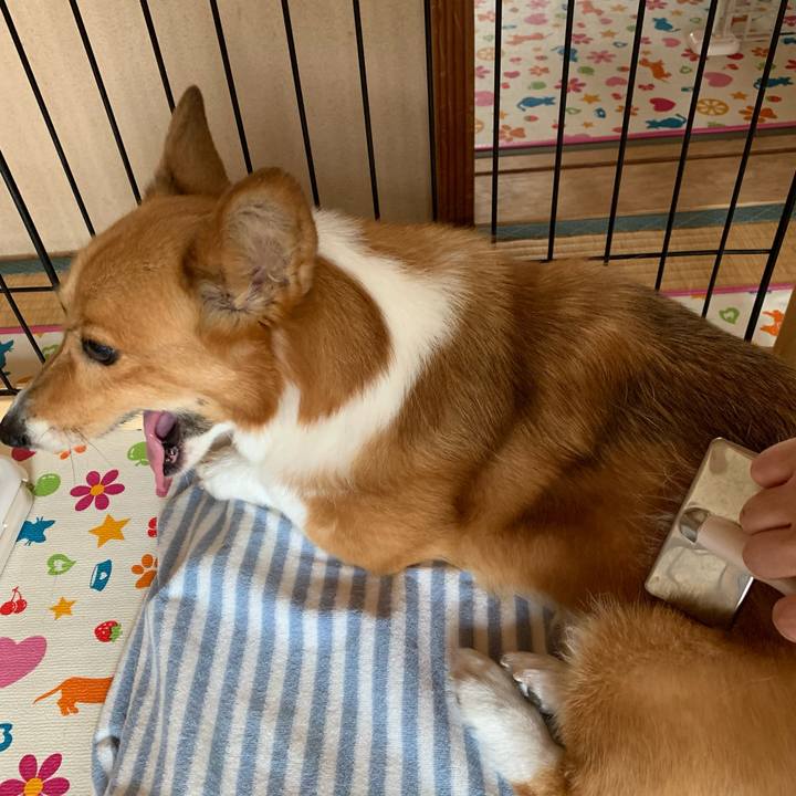 516d4425 b5d4 4c61 a52c 80366e3afe25 1624076274155