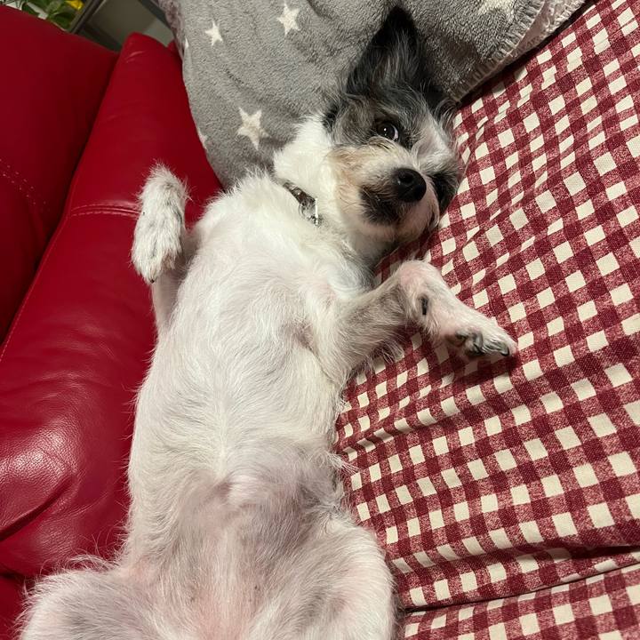 516d4971 be05 4c9d 9c03 06923963517a 1758372916644